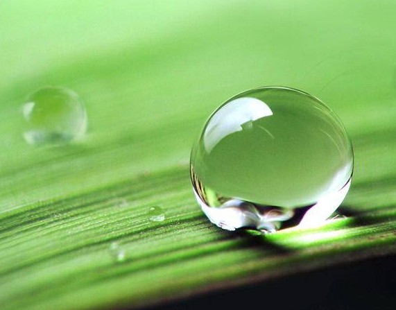 涂料潤濕劑<a href='https://www.www.npxsmy.com/product/product-0001,0011,0020.shtml' class='keys' title='點擊查看關(guān)于分散劑的相關(guān)信息' target='_blank'>分散劑</a>