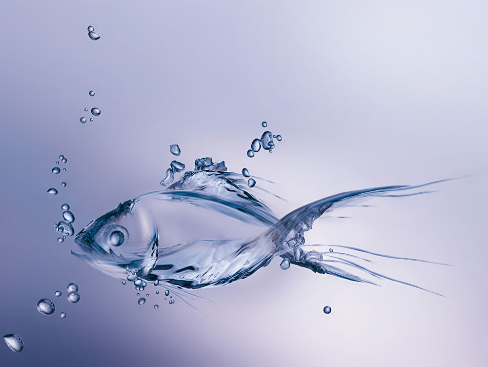 潤濕<a href='https://www.www.npxsmy.com/product/product-0001,0011,0020.shtml' class='keys' title='點擊查看關(guān)于分散劑的相關(guān)信息' target='_blank'>分散劑</a>