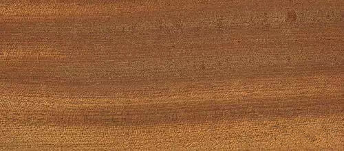 木器漆基材潤濕劑,木器漆潤濕劑,水性潤濕劑,底材潤濕劑,潤濕劑廠家,迪高潤濕劑,<a href='https://www.www.npxsmy.com/product/product-0001,0011,0018.shtml' class='keys' title='點(diǎn)擊查看關(guān)于潤濕劑的相關(guān)信息' target='_blank'>潤濕劑</a>批發(fā)